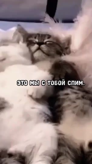 TikTok video thumbnail by reimiix