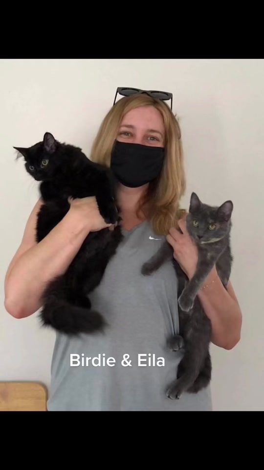 TikTok video thumbnail by spicylilcats