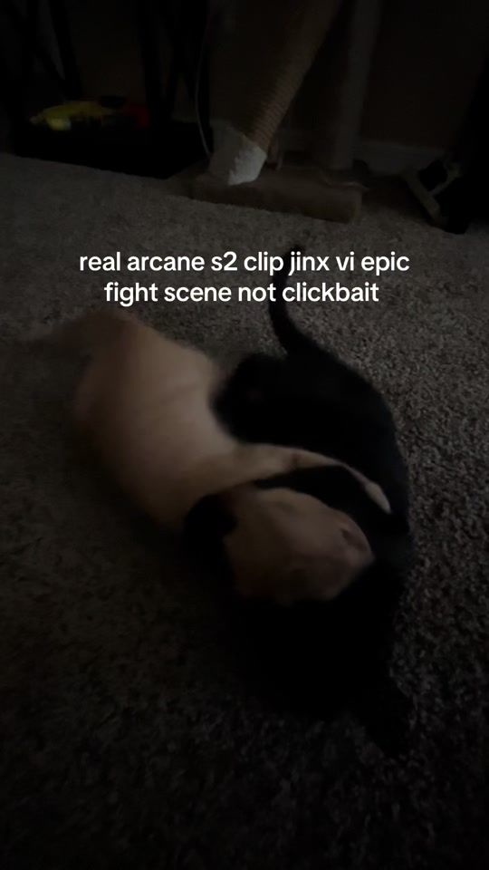 TikTok video thumbnail by bintonsworld