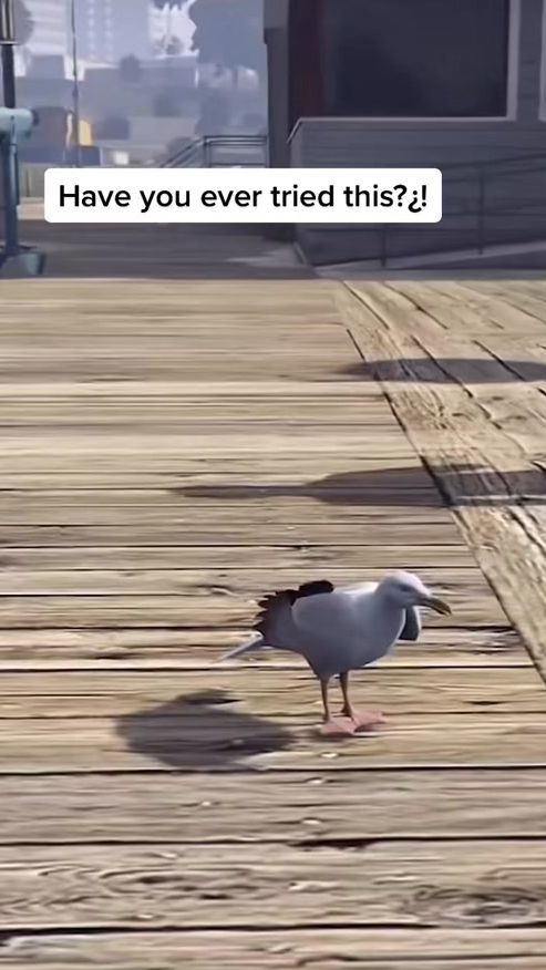 TikTok video thumbnail by redbullca