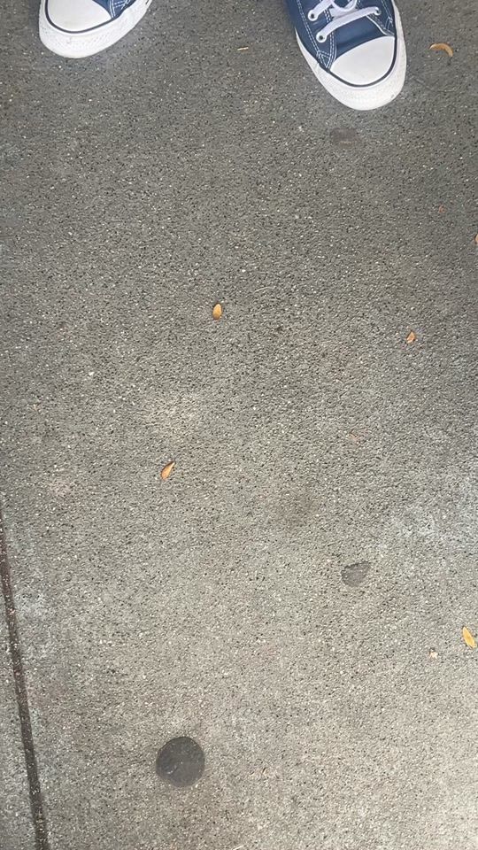 TikTok video thumbnail by shoutoisicyhot
