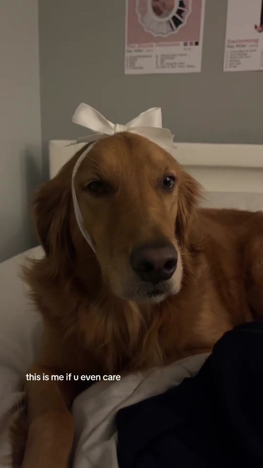 TikTok video thumbnail by isaaacobo