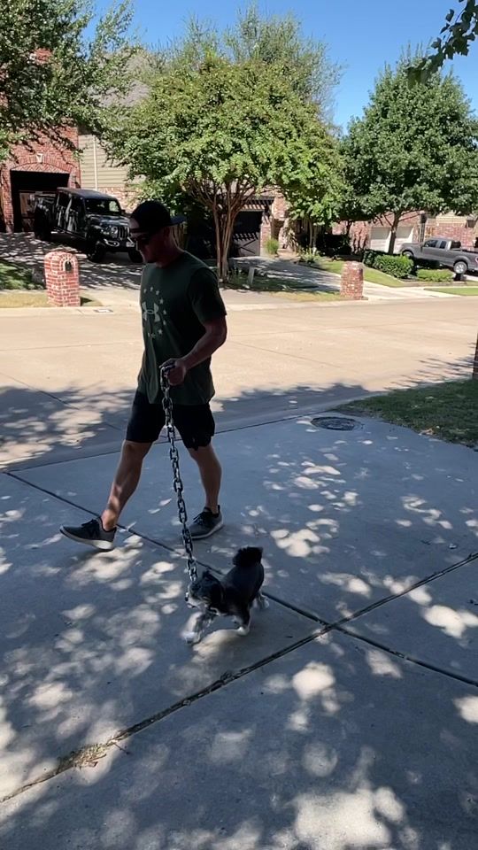 TikTok video thumbnail by jlo1017
