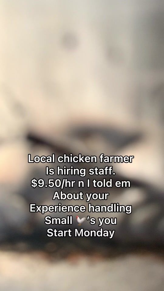 TikTok video thumbnail by braeden_48