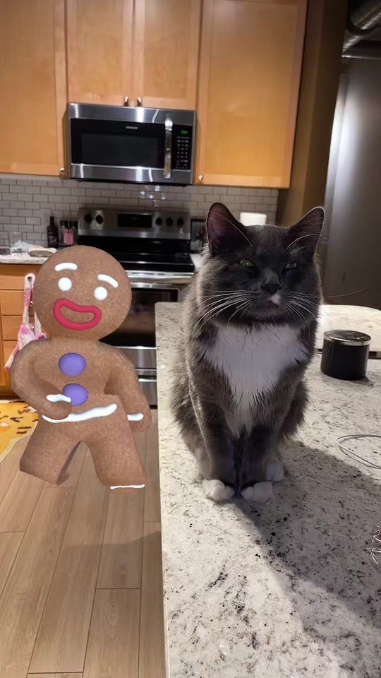 TikTok video thumbnail by booogu