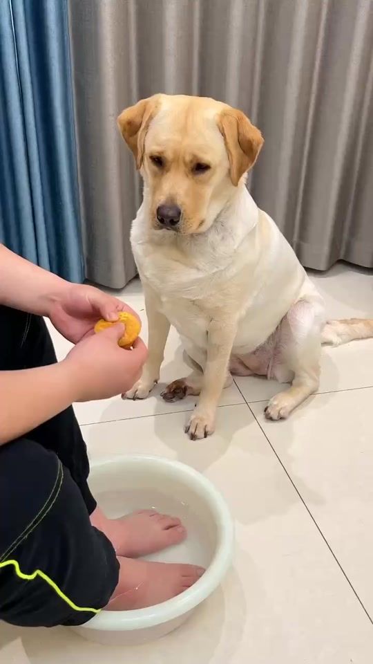 TikTok video thumbnail by kitty_perferred