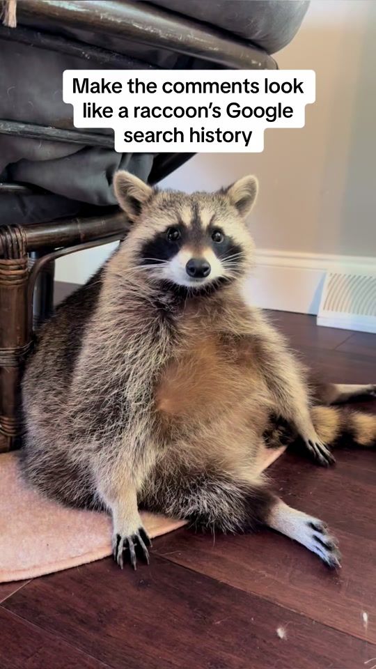 TikTok video thumbnail by titotheraccoon