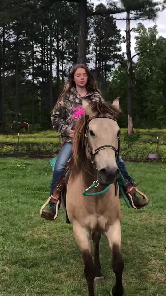 TikTok video thumbnail by emileigh_barrelracer