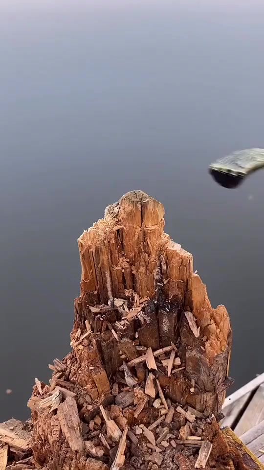 TikTok video thumbnail by alveumid