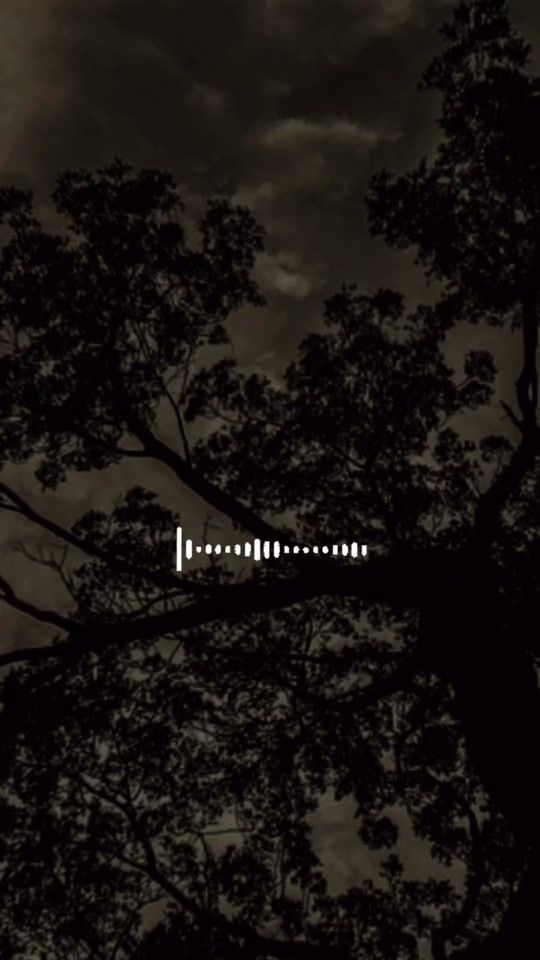 TikTok video thumbnail by icysr1