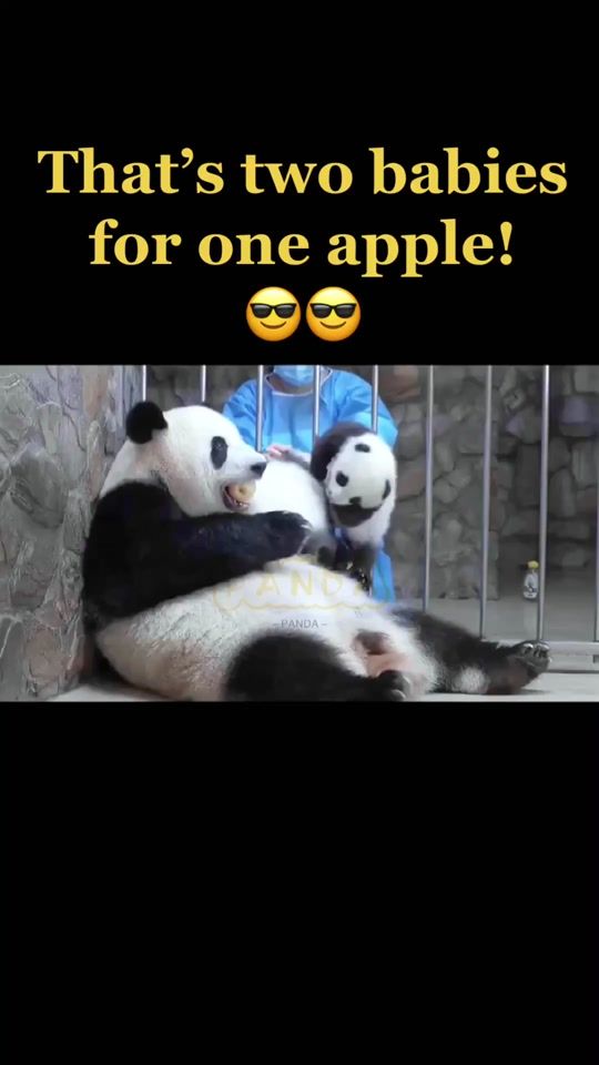 TikTok video thumbnail by pandashine18