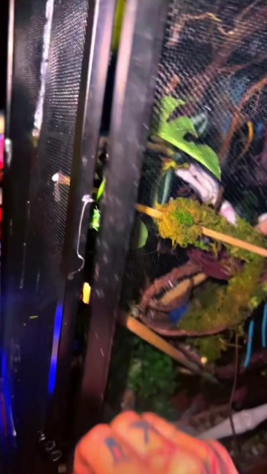 TikTok video thumbnail by onlyfangzexotics666