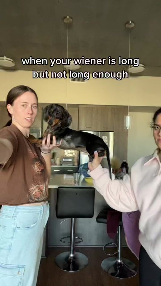 TikTok video thumbnail by daphne_the_wiener