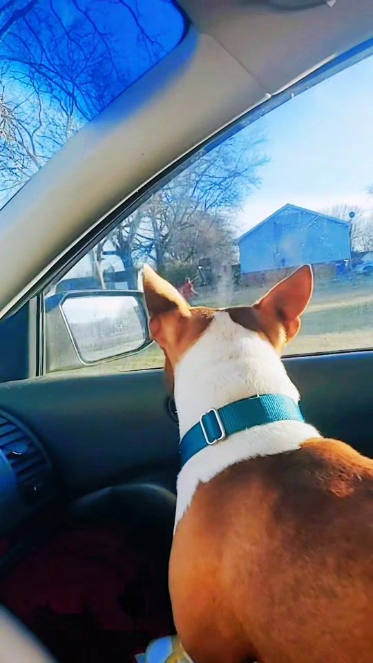 TikTok video thumbnail by madametindall