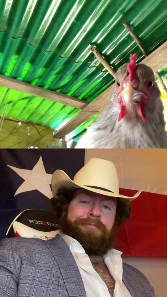 TikTok video thumbnail by hwhathairyhare