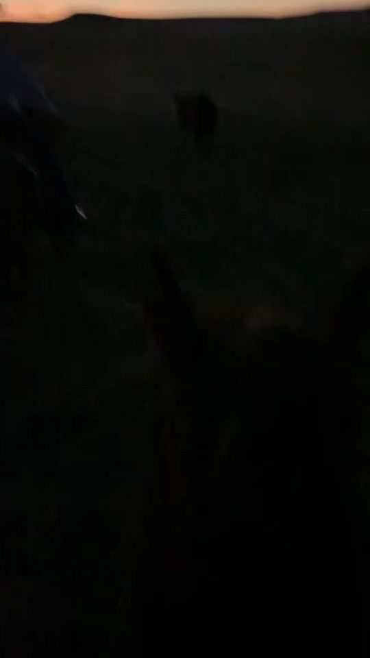 TikTok video thumbnail by brandon.cbear