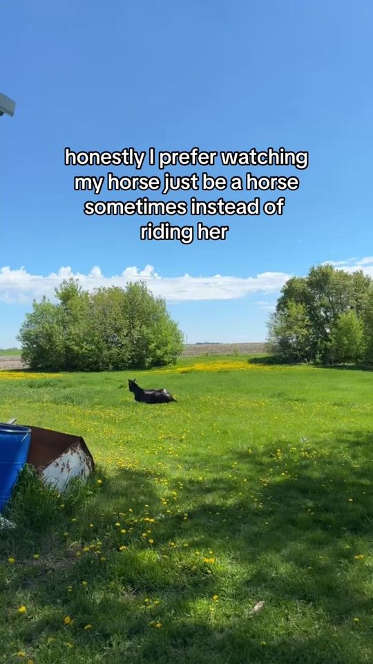 TikTok video thumbnail by elsaequine