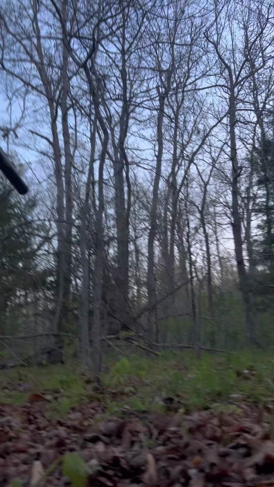 TikTok video thumbnail by andonhamilton1
