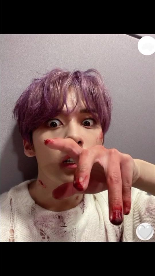 TikTok video thumbnail by lilyflower975