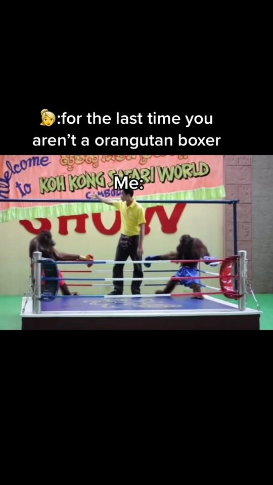 TikTok video thumbnail by lil_timmy012209