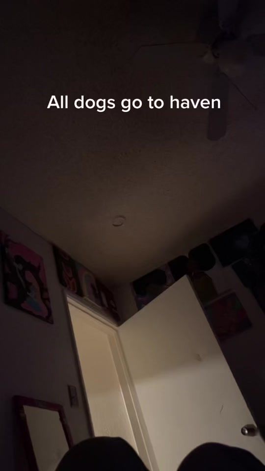 TikTok video thumbnail by f_ck.you_bro