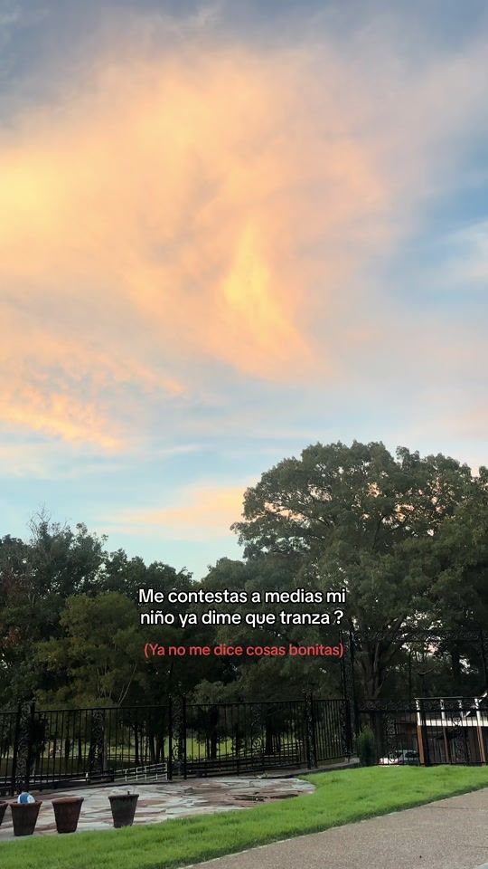TikTok video thumbnail by vena6821