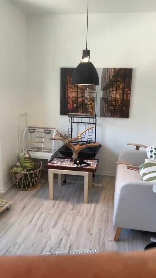 TikTok video thumbnail by beauty.of.flight