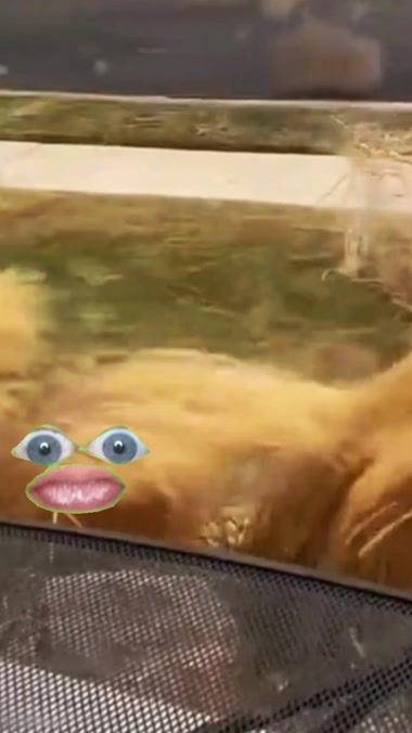 TikTok video thumbnail by thecraigmiles