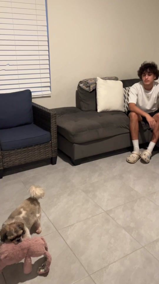 TikTok video thumbnail by familiaobrien