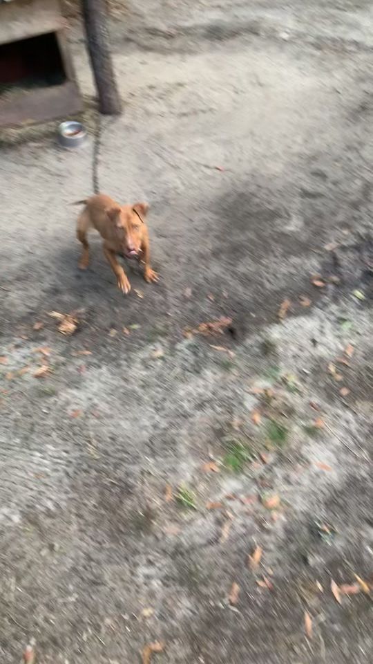 TikTok video thumbnail by ke_hill6