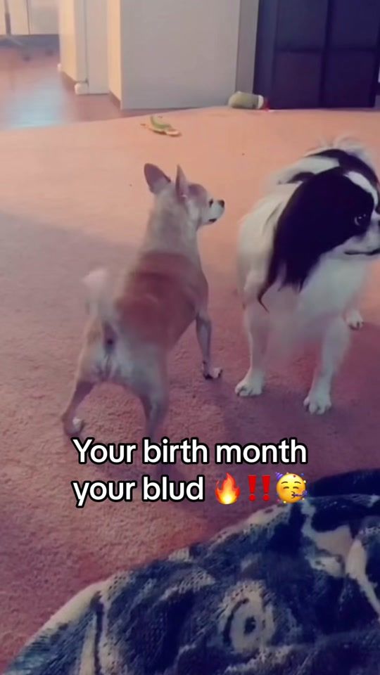 TikTok video thumbnail by bludathan.jr