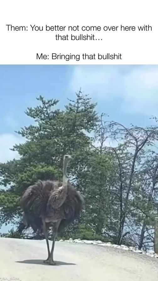 TikTok video thumbnail by ryan_slice_