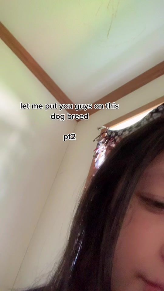 TikTok video thumbnail by olympusbea