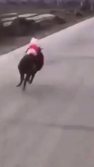 TikTok video thumbnail by hi_owo_1