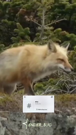 TikTok video thumbnail by sttarzoid