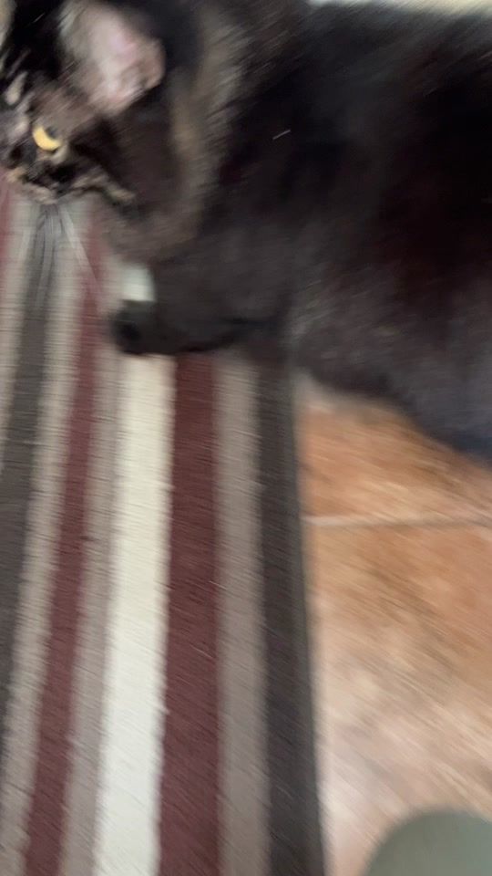 TikTok video thumbnail by .kimei
