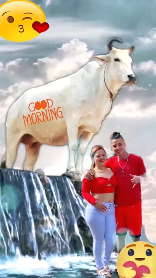 TikTok video thumbnail by cielo.8840