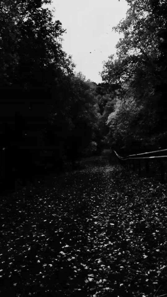 TikTok video thumbnail by allis._.lyrics