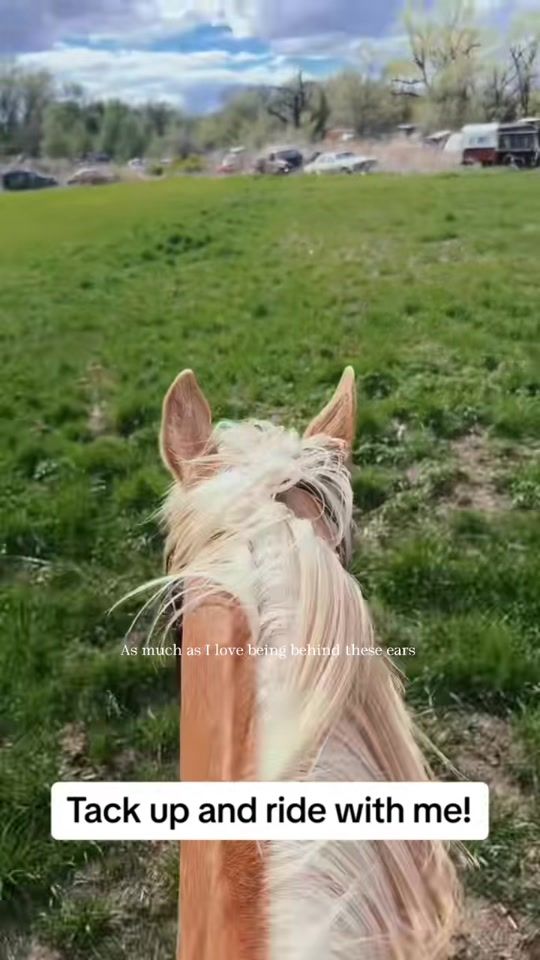TikTok video thumbnail by _metallica86_