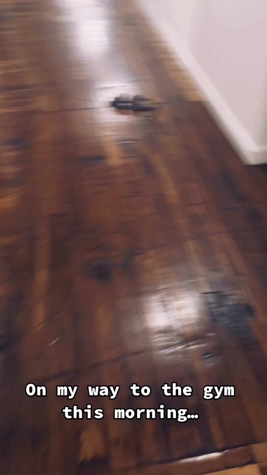 TikTok video thumbnail by coleswindellofficial