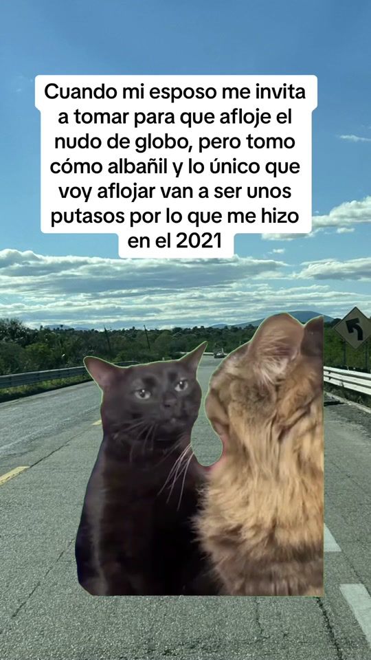 TikTok video thumbnail by gabycastillo739