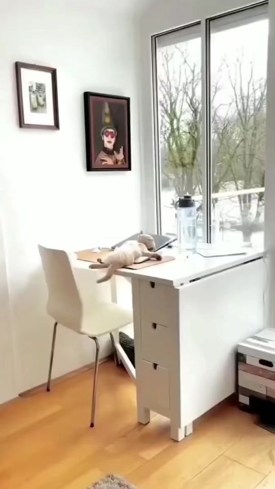 TikTok video thumbnail by lulupaw.co