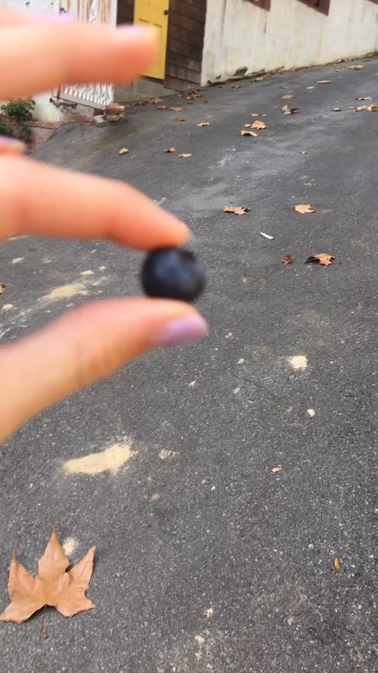 TikTok video thumbnail by fruit.surgeon__