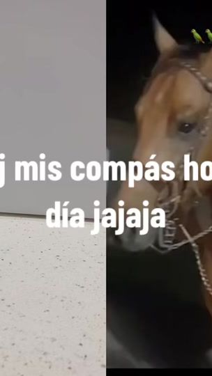 TikTok video thumbnail by calmoruly