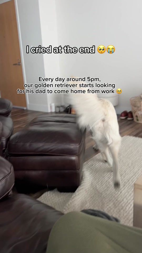 TikTok video thumbnail by romeosrufflife