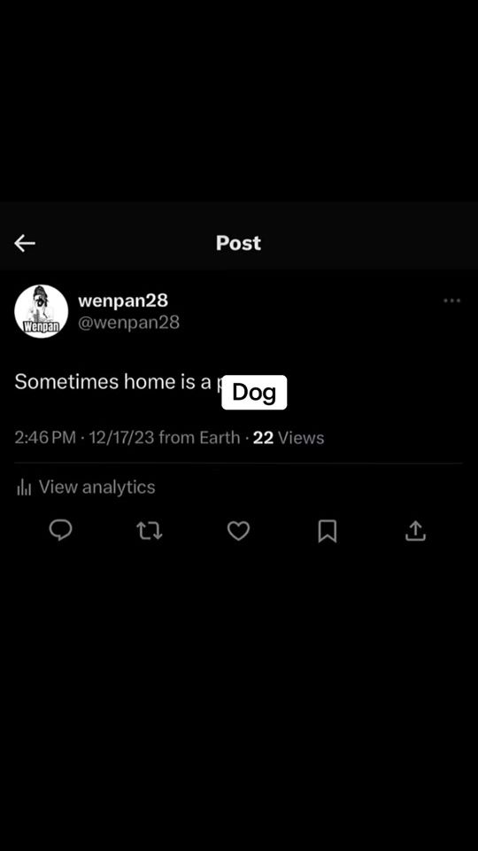 TikTok video thumbnail by lillygracethebeagle