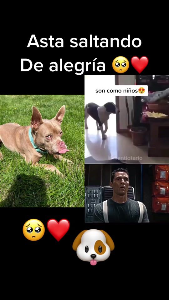 TikTok video thumbnail by esvin.502