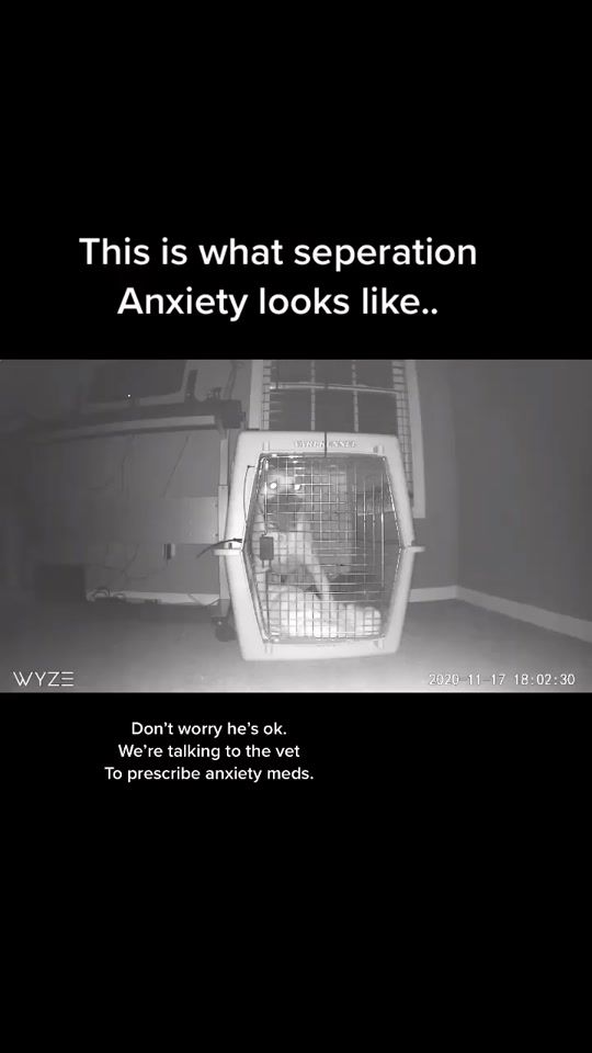 TikTok video thumbnail by positively_amberb