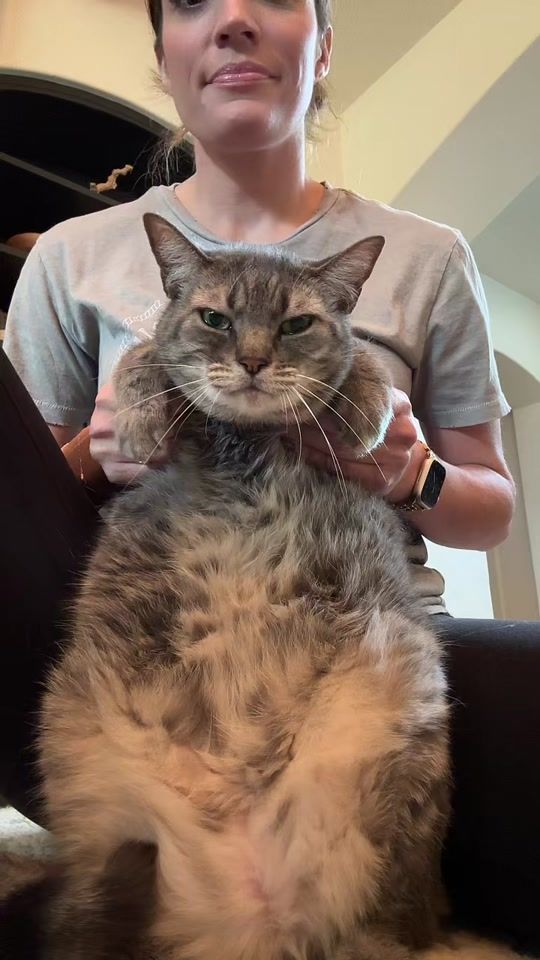 TikTok video thumbnail by roro.cat