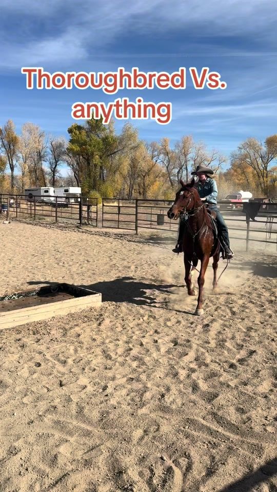 TikTok video thumbnail by sugarponi9